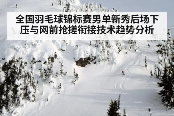 全国羽毛球锦标赛男单新秀后场下压与网前抢搓衔接技术趋势分析